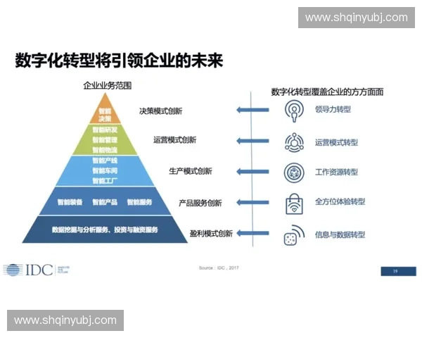 阿根廷足球联赛发展现状与未来展望：从历史辉煌到现代竞争的转型